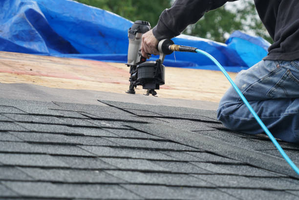 Best Commercial Roofing Services  in Shelbyvle, IL
